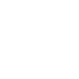 Sustainable Coastlines